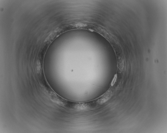 X0000076250704200610122205