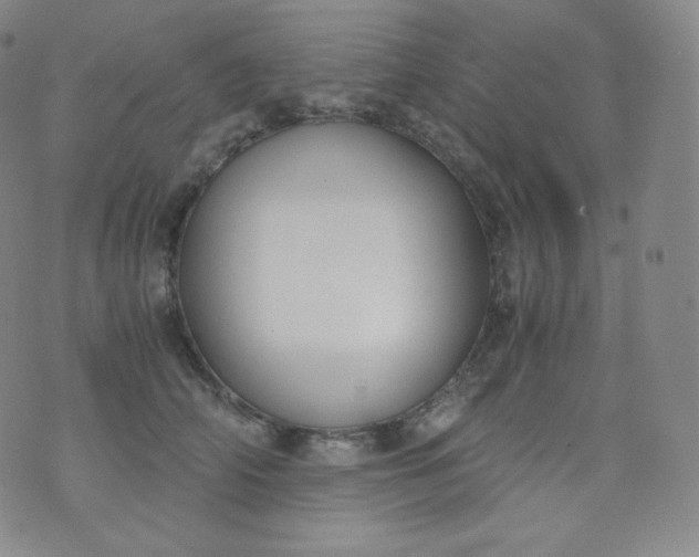 X0000076250706200610122205