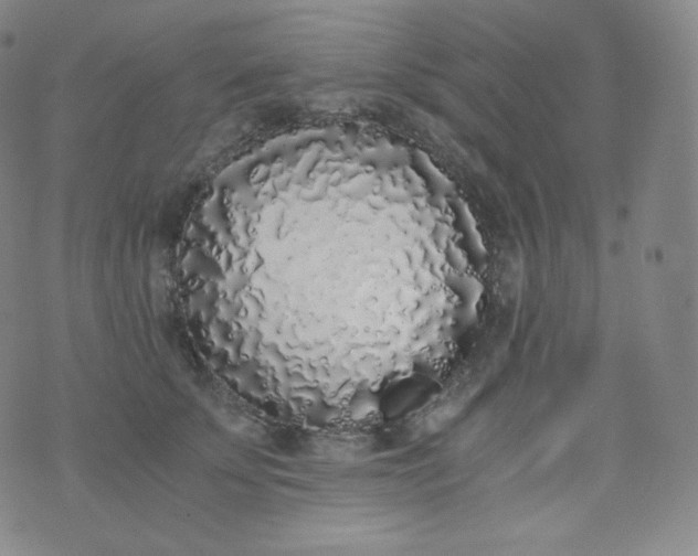 X0000076250707200610122205