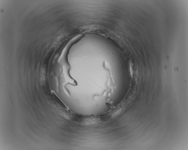 X0000076250708200610122205