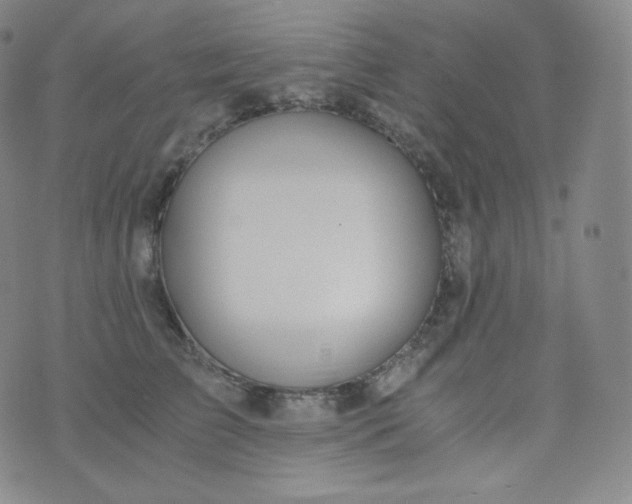 X0000076250709200610122205