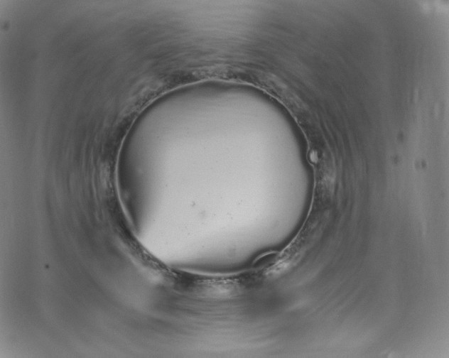 X0000076250711200610122205