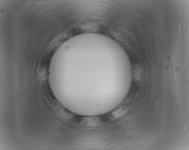 X0000076250713200610122205