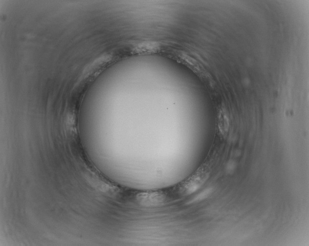 X0000076250714200610122205