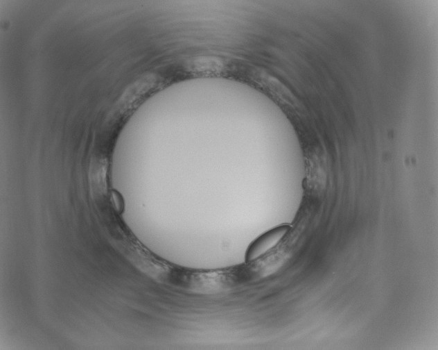 X0000076250717200610122205