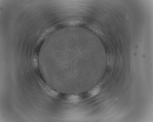 X0000076250718200610122205