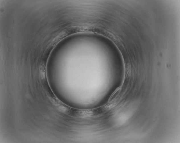 X0000076250719200610122205