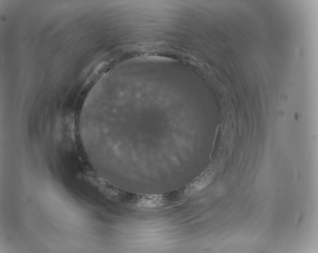 X0000076250720200610122205