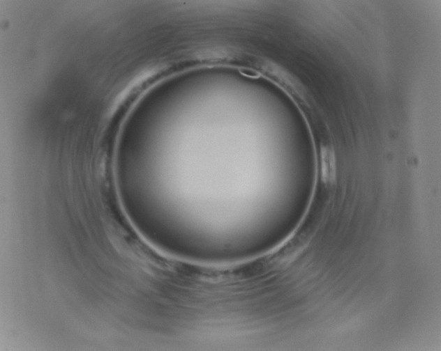 X0000076250723200610122204