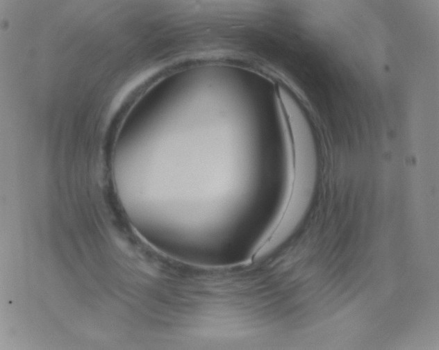 X0000076250724200610122204