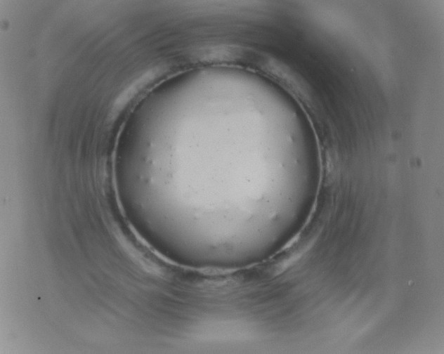 X0000076250725200610122204