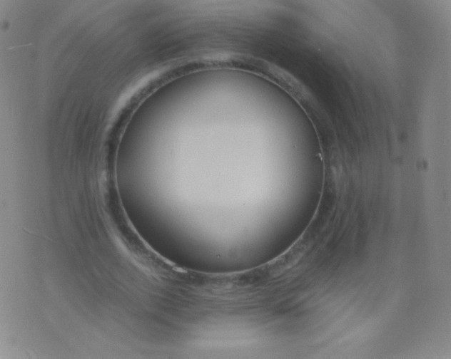 X0000076250728200610122204