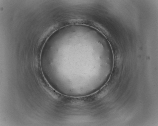 X0000076250729200610122204