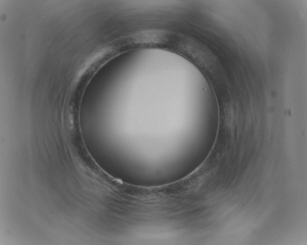 X0000076250731200610122204