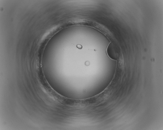 X0000076250732200610122204