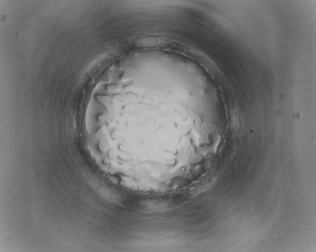 X0000076250733200610122204