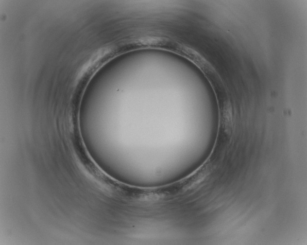 X0000076250734200610122204