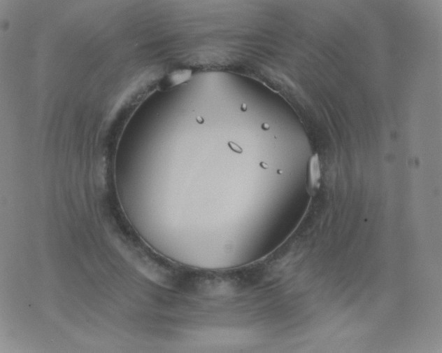 X0000076250735200610122204