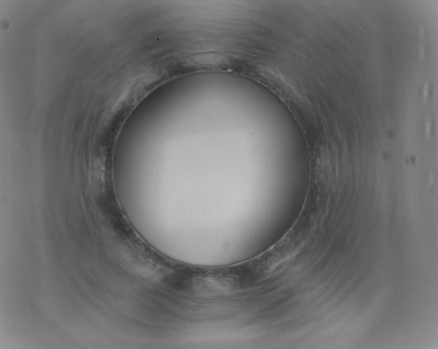 X0000076250739200610122205