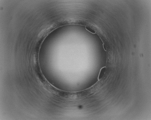 X0000076250740200610122205