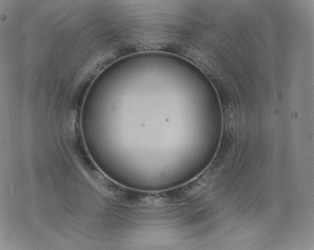 X0000076250742200610122205