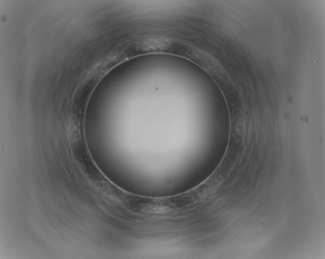 X0000076250743200610122205