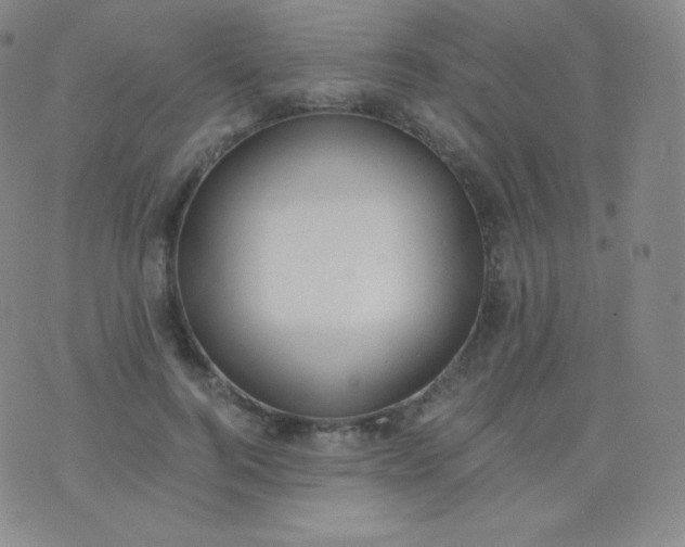 X0000076250744200610122205