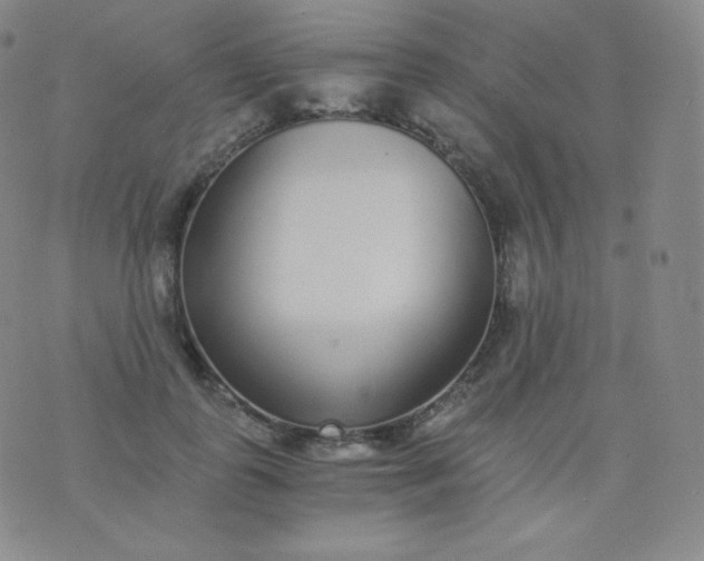 X0000076250747200610122205