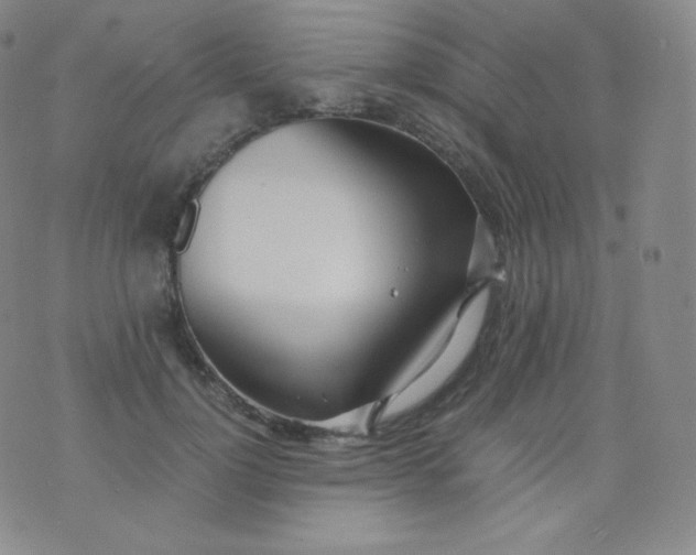 X0000076250748200610122205