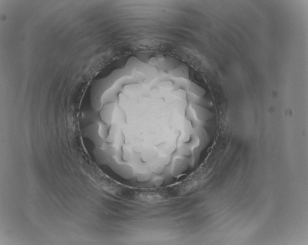 X0000076250749200610122205