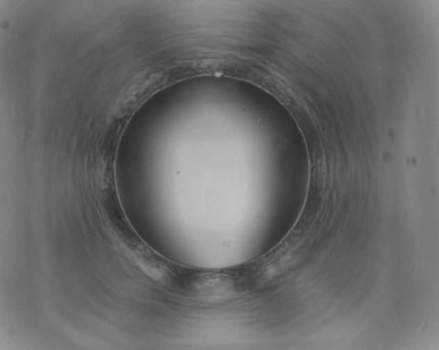 X0000076250750200610122205