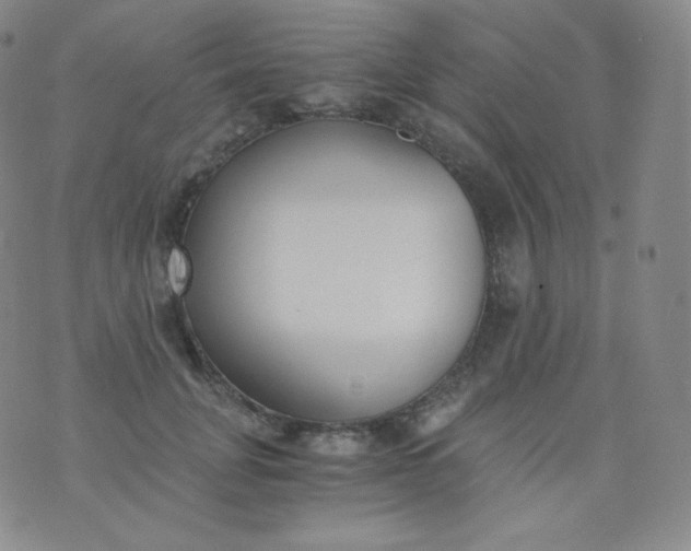 X0000076250751200610122205