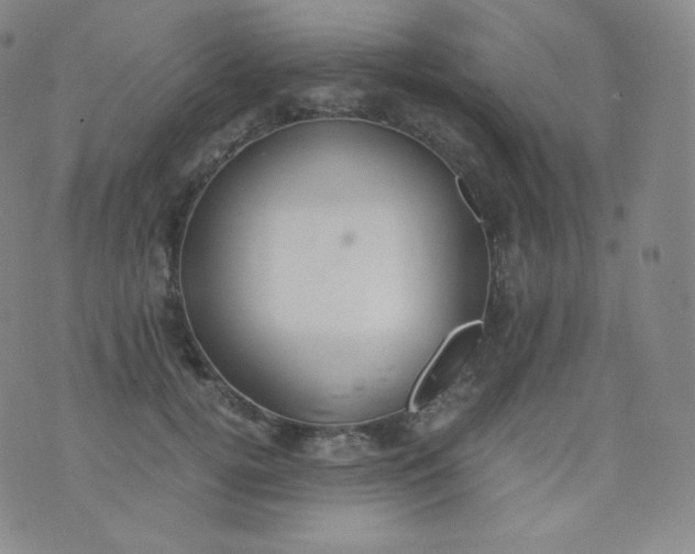 X0000076250752200610122205