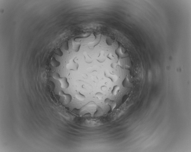 X0000076250753200610122205