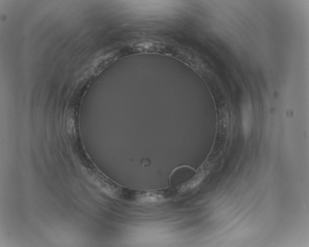 X0000076250754200610122205