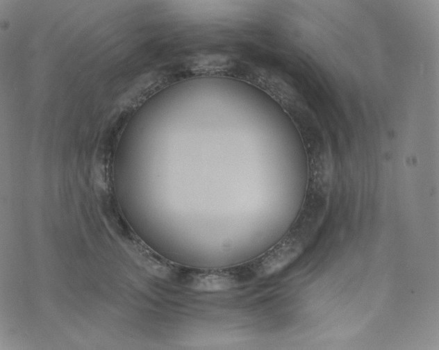 X0000076250755200610122205