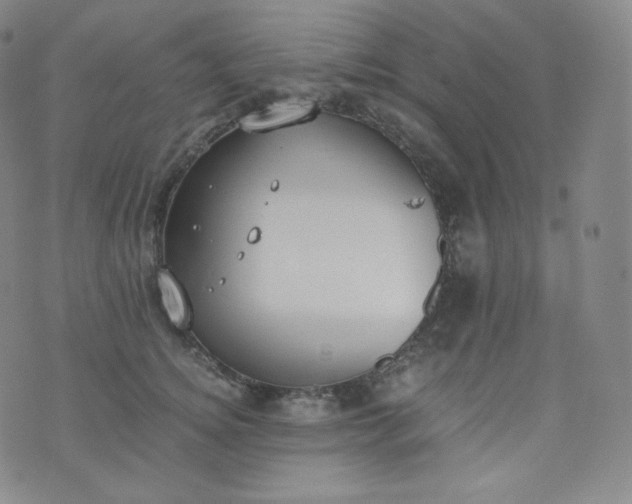 X0000076250756200610122205