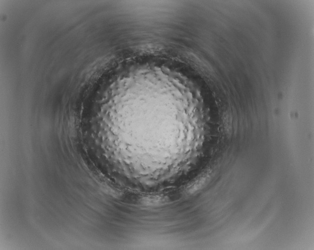 X0000076250757200610122205