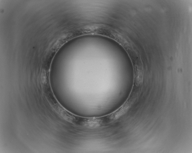 X0000076250758200610122205