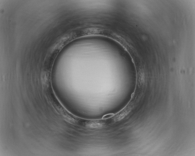 X0000076250759200610122205