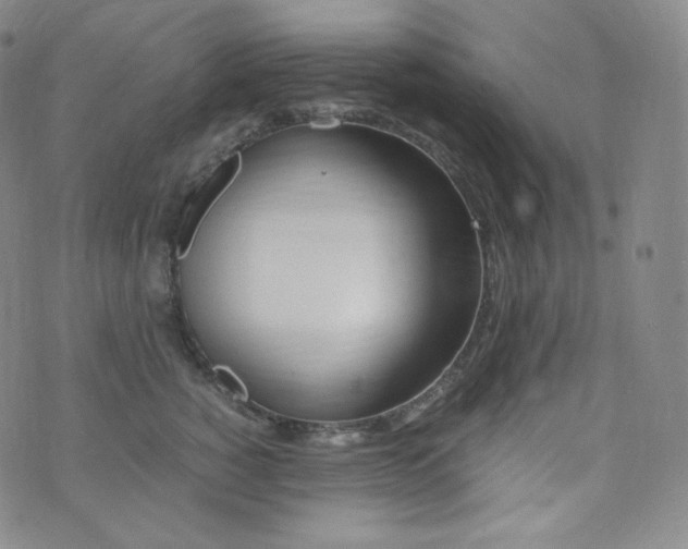 X0000076250760200610122205