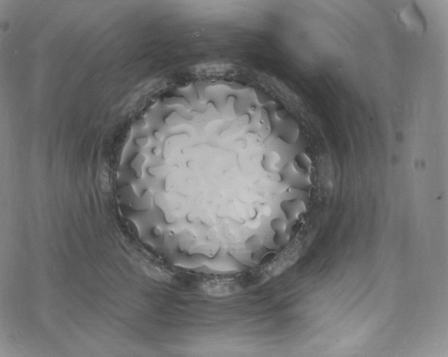 X0000076250761200610122205