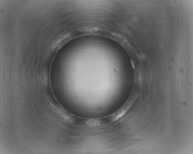 X0000076250762200610122205