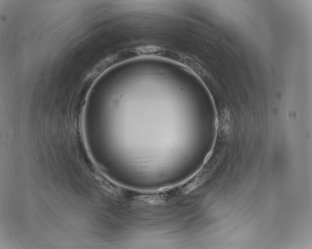 X0000076250763200610122205