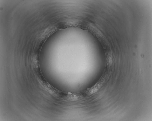 X0000076250764200610122205