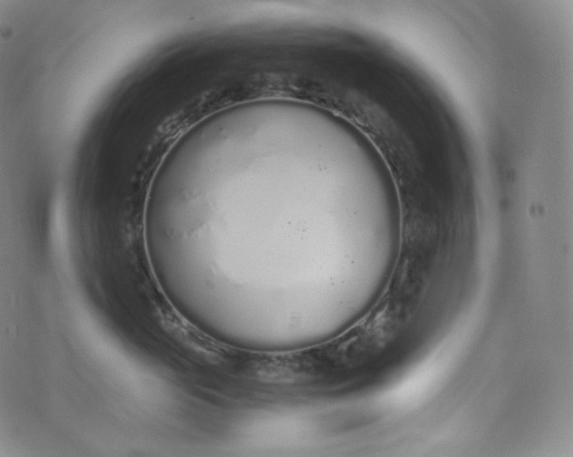 X0000076250765200610122205