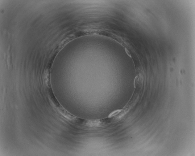 X0000076250767200610122205