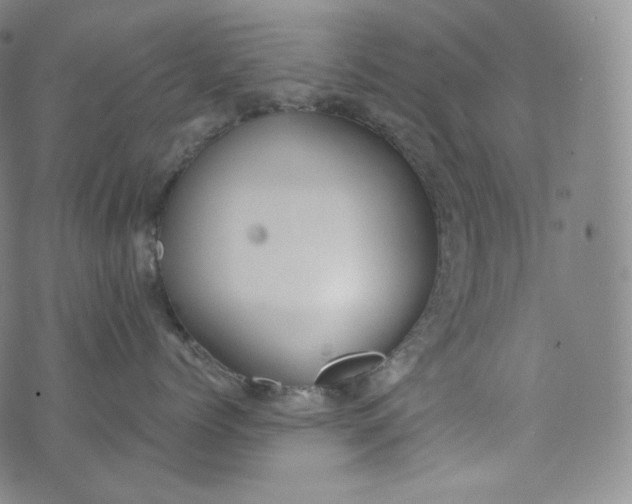 X0000076250768200610122205