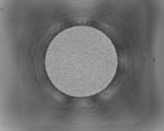 X0000076250769200610122204