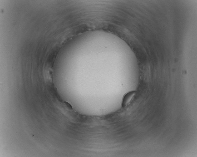 X0000076250770200610122204